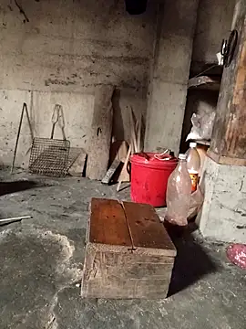 TinTin321 online show from March 2026 05:24:02 AM