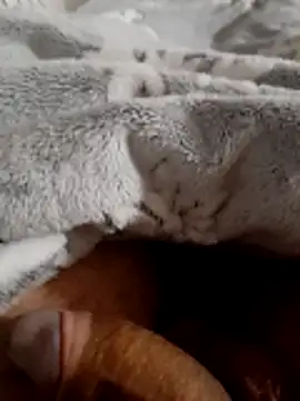 Snapshot of ratoncito_3 chatting on November 2025 02:06:01 AM ratoncito 3 online show from November 2025 02:06:01 AM