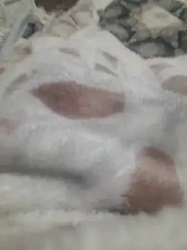 ratoncito 3 online show from January 2026 05:50:01 PM