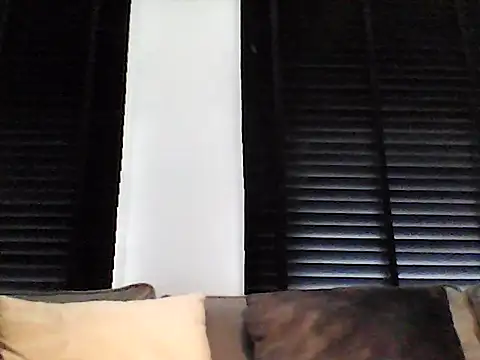 Snapshot of perlados chatting on May 2026 07:38:02 AM perlados online show from May 2026 07:38:02 AM
