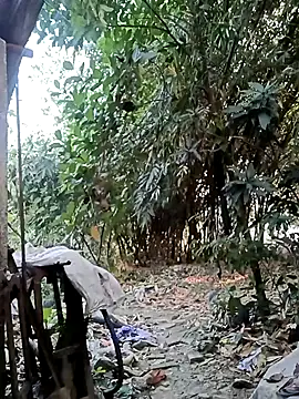 Hotty-rosni online show from November 2025 02:24:01 AM