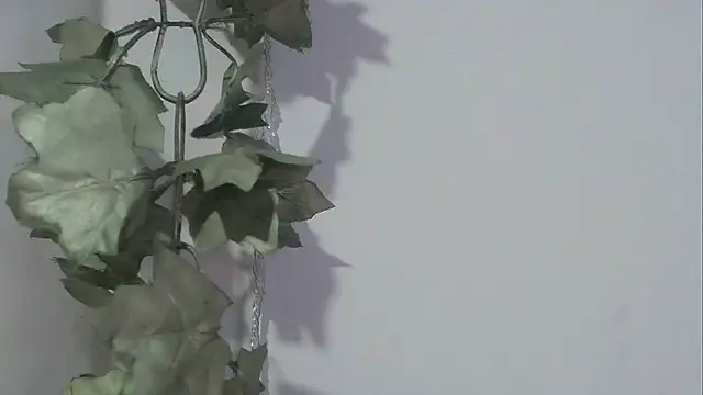 angelainparis28 online show from November 2025 08:25:02 PM