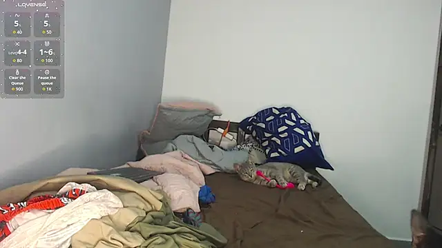 Snapshot of brisazanes chatting on November 2025 03:27:01 AM brisazanes online show from November 2025 03:27:01 AM