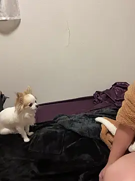 Snapshot of h415a812 chatting on November 2025 07:35:02 PM h415a812 online show from November 2025 07:35:02 PM