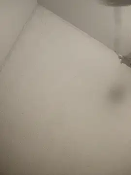 Blessdsoulja44 online show from March 2026 08:11:02 AM