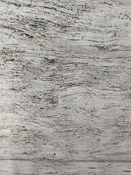 Snapshot of hot_plak chatting on December 2025 05:08:02 PM hot plak online show from December 2025 05:08:02 PM