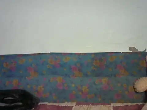 Snapshot of Baby_doll9090 chatting on January 2026 05:07:01 PM Baby doll9090 online show from January 2026 05:07:01 PM