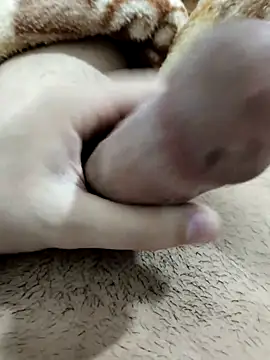 Snapshot of Zepe_12 chatting on February 2026 11:34:02 PM Zepe 12 online show from February 2026 11:34:02 PM