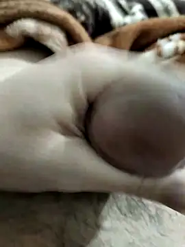 Snapshot of Zepe_12 chatting on March 2026 10:12:01 PM Zepe 12 online show from March 2026 10:12:01 PM