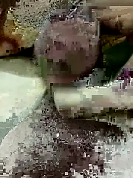 Snapshot of Zepe_12 chatting on March 2026 08:12:01 PM Zepe 12 online show from March 2026 08:12:01 PM