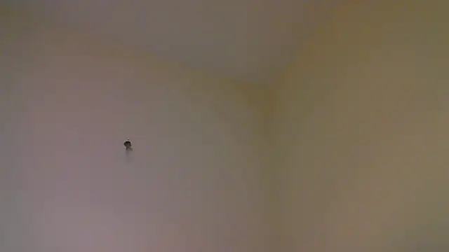 str8matesirishoz online show from October 2025 04:01:01 AM