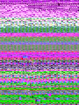 Snapshot of pnwzo chatting on October 2025 08:28:02 PM pnwzo online show from October 2025 08:28:02 PM