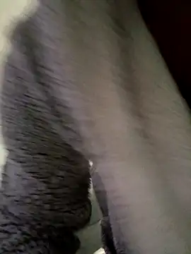 Snapshot of cameron334 chatting on November 2025 01:29:01 AM cameron334 online show from November 2025 01:29:01 AM