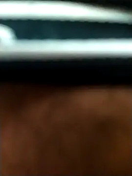 Snapshot of 8inches_DelhiBOY chatting on November 2025 12:05:02 PM 8inches DelhiBOY online show from November 2025 12:05:02 PM