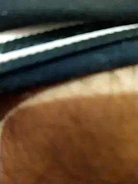 Snapshot of 8inches_DelhiBOY chatting on November 2025 05:13:02 AM 8inches DelhiBOY online show from November 2025 05:13:02 AM