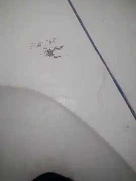 Snapshot of Celestial_Field chatting on April 2026 04:45:01 PM Celestial Field online show from April 2026 04:45:01 PM