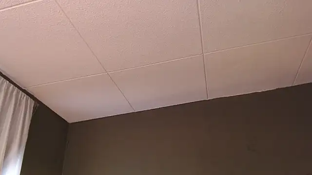 PaulEvens online show from December 2025 01:31:01 PM