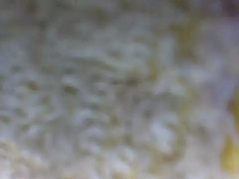 hell1212 25 online show from March 2026 05:38:02 PM