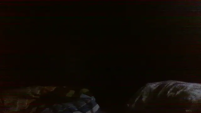 raredick online show from April 2026 03:39:02 PM