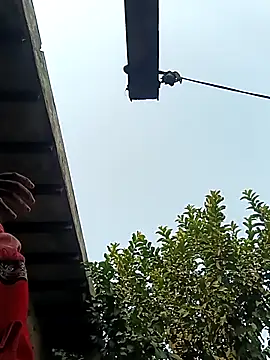 Snapshot of heena3355 chatting on December 2025 03:56:01 AM heena3355 online show from December 2025 03:56:01 AM