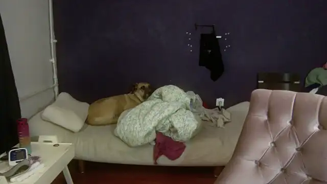 Snapshot of turkishTransEfsun chatting on November 2025 10:05:01 AM turkishTransEfsun online show from November 2025 10:05:01 AM