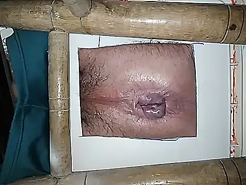 boy888sexy online show from October 2025 11:20:01 PM