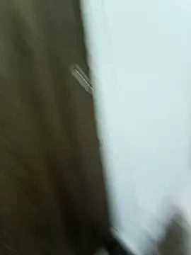 Maazikeen online show from November 2025 03:01:01 AM