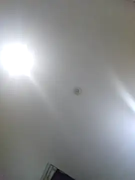 Snapshot of Natural_Asian_Girl chatting on September 2025 10:40:01 AM Natural Asian Girl online show from September 2025 10:40:01 AM