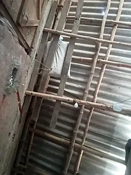 riyanag2 online show from December 2025 03:44:02 AM