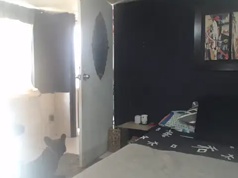 Dara-montenegro online show from October 2025 06:53:01 PM