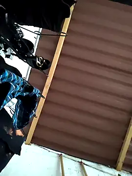 damian bull online show from November 2025 09:14:01 PM