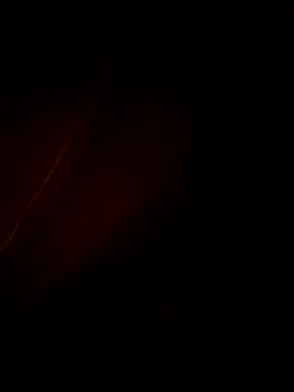 Fran-solo online show from May 2026 09:17:02 AM