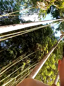 Johlrd online show from December 2025 02:06:02 AM