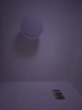 Snapshot of gigolobcn chatting on February 2026 05:33:01 PM gigolobcn online show from February 2026 05:33:01 PM