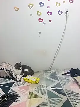 tany90 online show from October 2025 11:17:01 PM