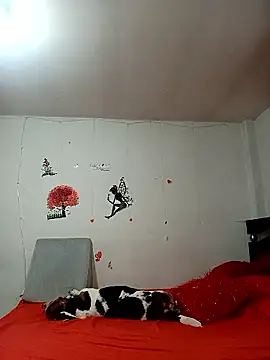 Snapshot of Lady_16 chatting on January 2026 01:53:01 AM Lady 16 online show from January 2026 01:53:01 AM