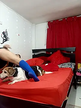 Snapshot of Lady_16 chatting on February 2026 04:30:02 AM Lady 16 online show from February 2026 04:30:02 AM