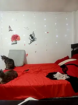 Snapshot of Lady_16 chatting on February 2026 01:57:02 AM Lady 16 online show from February 2026 01:57:02 AM