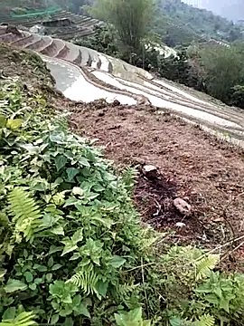 PhamPm70 online show from April 2026 09:51:02 AM