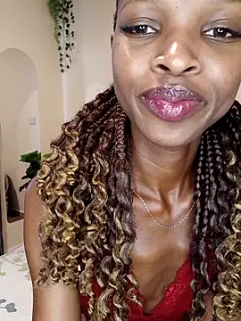 Nedambale online show from February 2026 12:30:01 PM