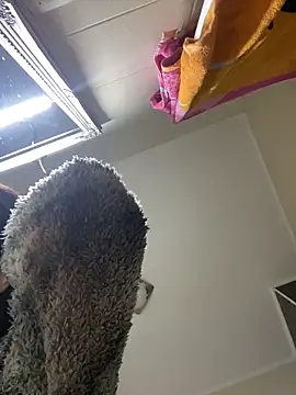 Snapshot of Lexi_Storm chatting on December 2025 05:48:01 AM Lexi Storm online show from December 2025 05:48:01 AM