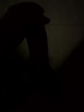 haucjsyo online show from January 2026 12:16:01 AM