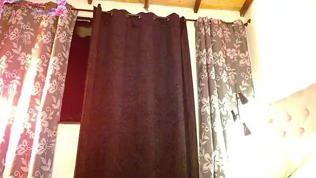 Dulce Tara online show from November 2025 01:15:01 AM