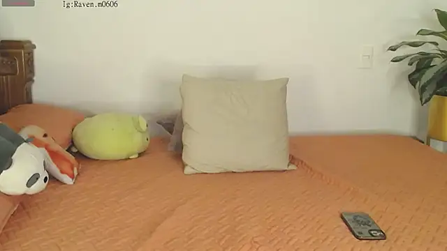 Snapshot of Raven06_ chatting on November 2025 12:10:01 AM Raven06 online show from November 2025 12:10:01 AM