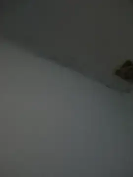 Snapshot of Kriffert chatting on November 2025 11:51:01 PM Kriffert online show from November 2025 11:51:01 PM