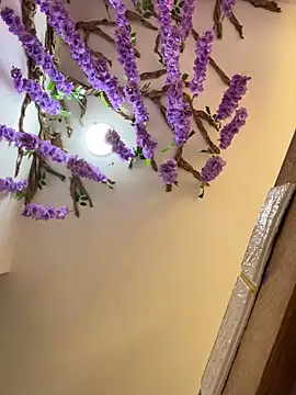 burbuja02 online show from April 2026 02:36:01 PM