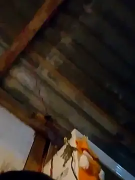 Snapshot of LUISSLEONN0958 chatting on September 2025 09:14:01 AM LUISSLEONN0958 online show from September 2025 09:14:01 AM