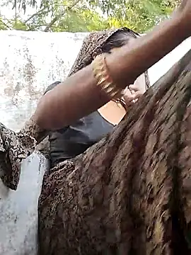 Sexi savita online show from November 2025 07:01:01 AM