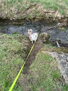 OliviaaFischer online show from March 2026 01:39:01 PM