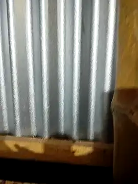 Snapshot of Nusrat-Q chatting on October 2025 01:52:01 PM Nusrat-Q online show from October 2025 01:52:01 PM